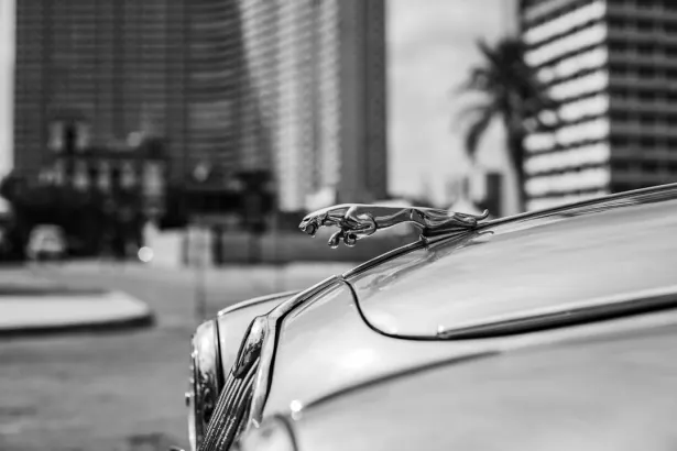 BetRegal Casino Android/iOS-app